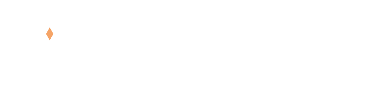 SDU University